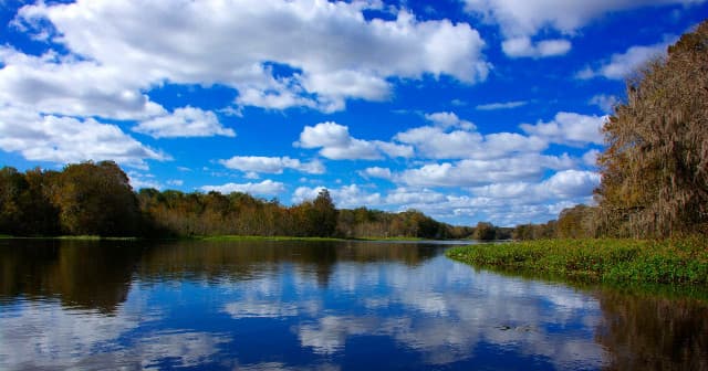 Wild Bill's Airboat Tours fleet