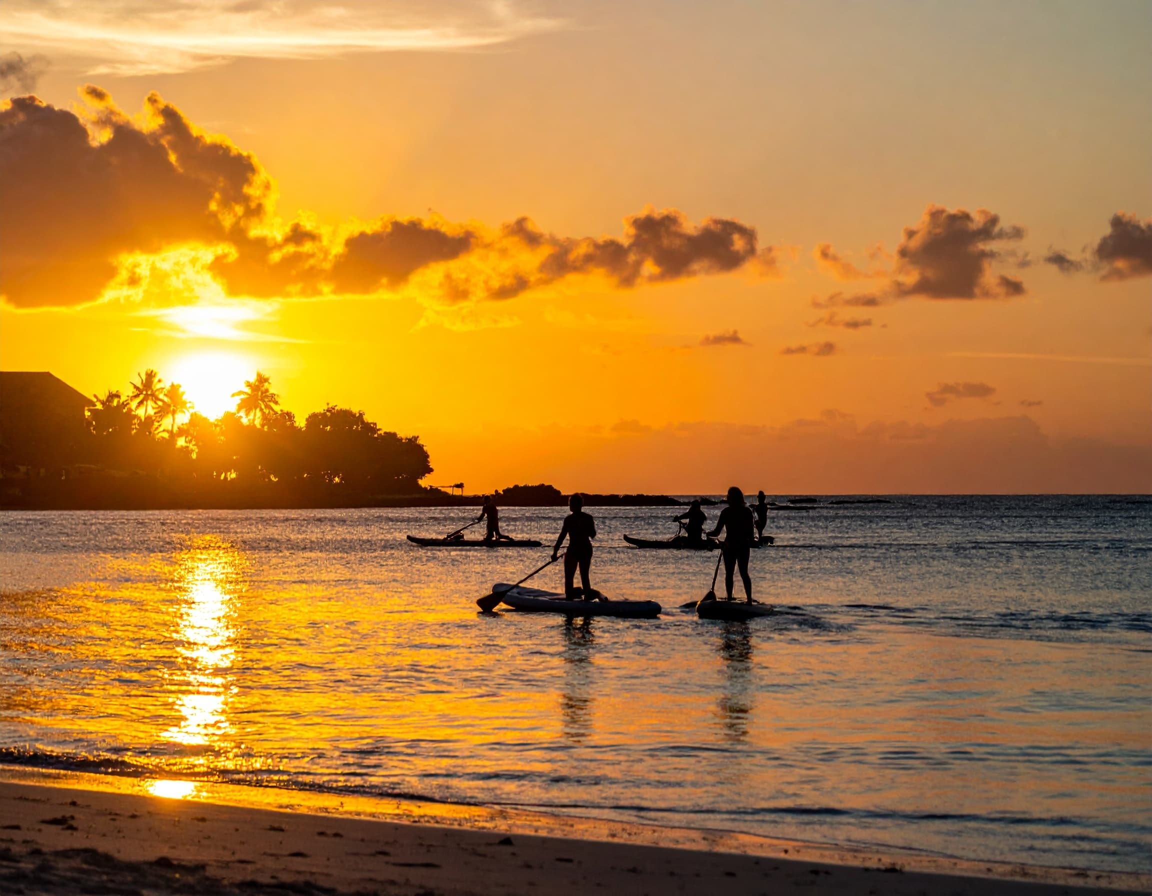 Ocean paddleboarders at golden sunset on tropical shoreline