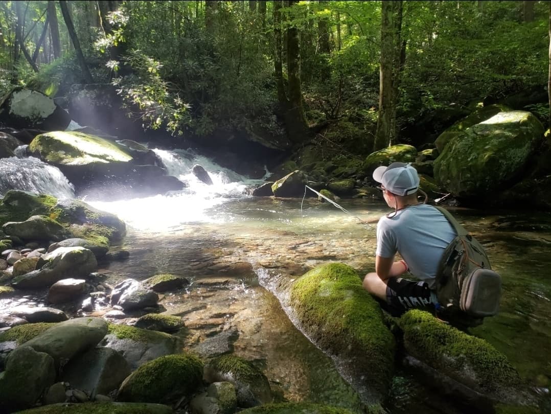 Fly Fishing Adventures with Rockhopper in the Smokies