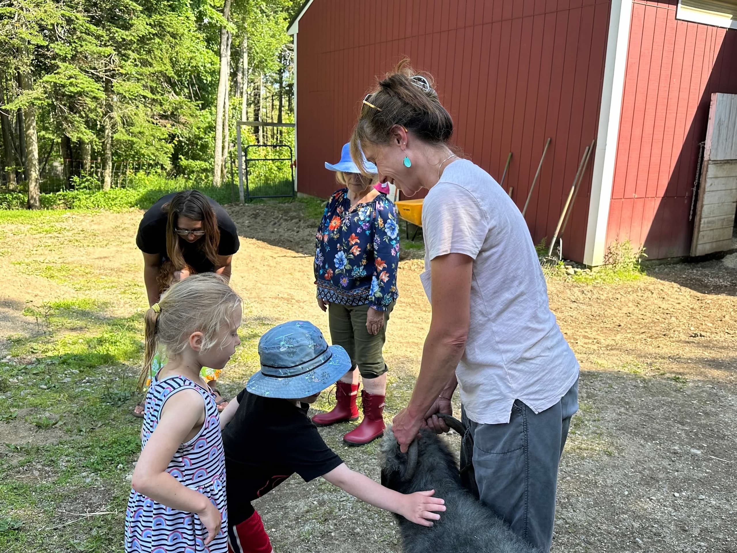 Private Pasture Visit in Searsport — Meet Friendly Donkeys in Coastal Maine photo 2