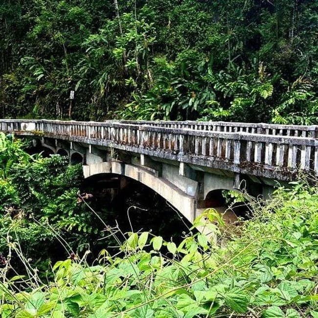 Historic jungle bridge over stream in Maui, scenic hiking route