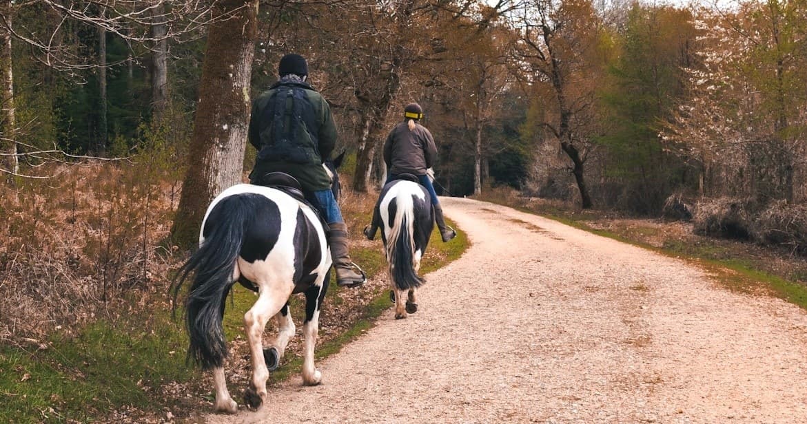 One Hour Private Horse Riding Lessons in Sayreville, NJ