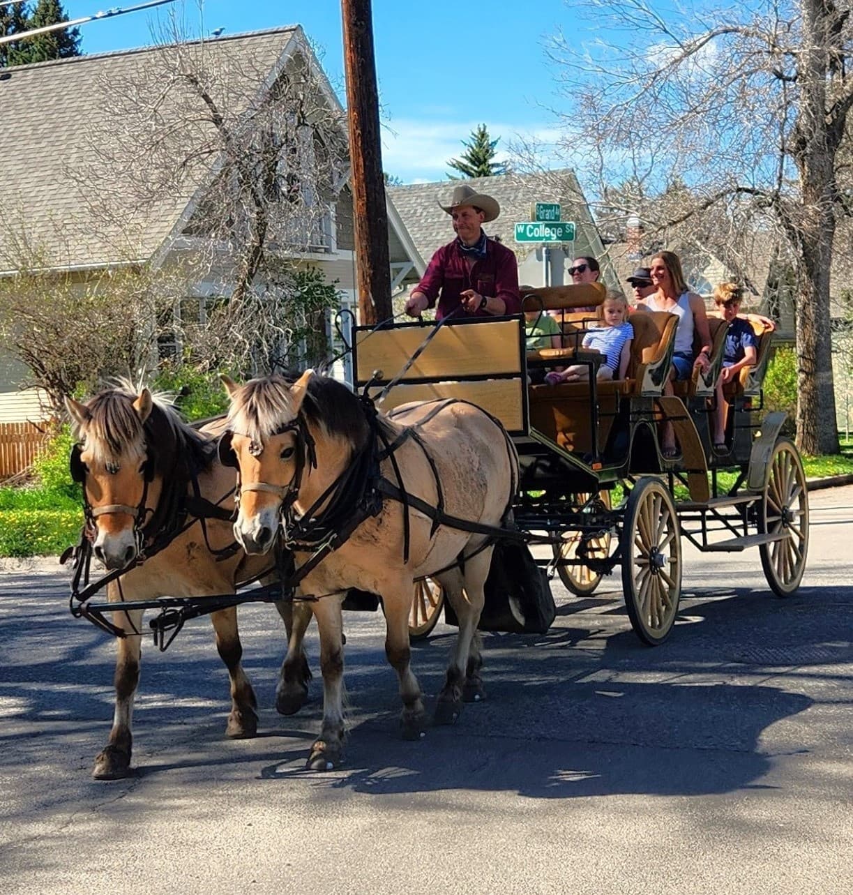 City Carriage Ride in Bozeman: A Historic One Hour Tour