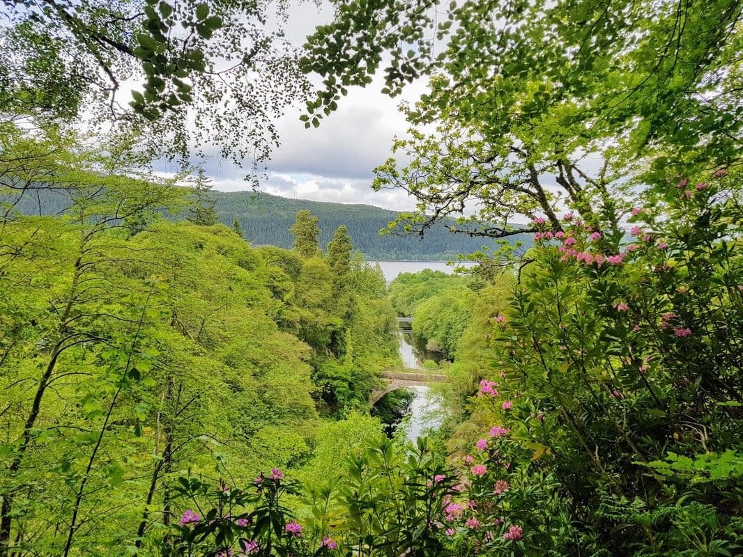 The Quieter Side of Loch Ness with Secret Highlands
