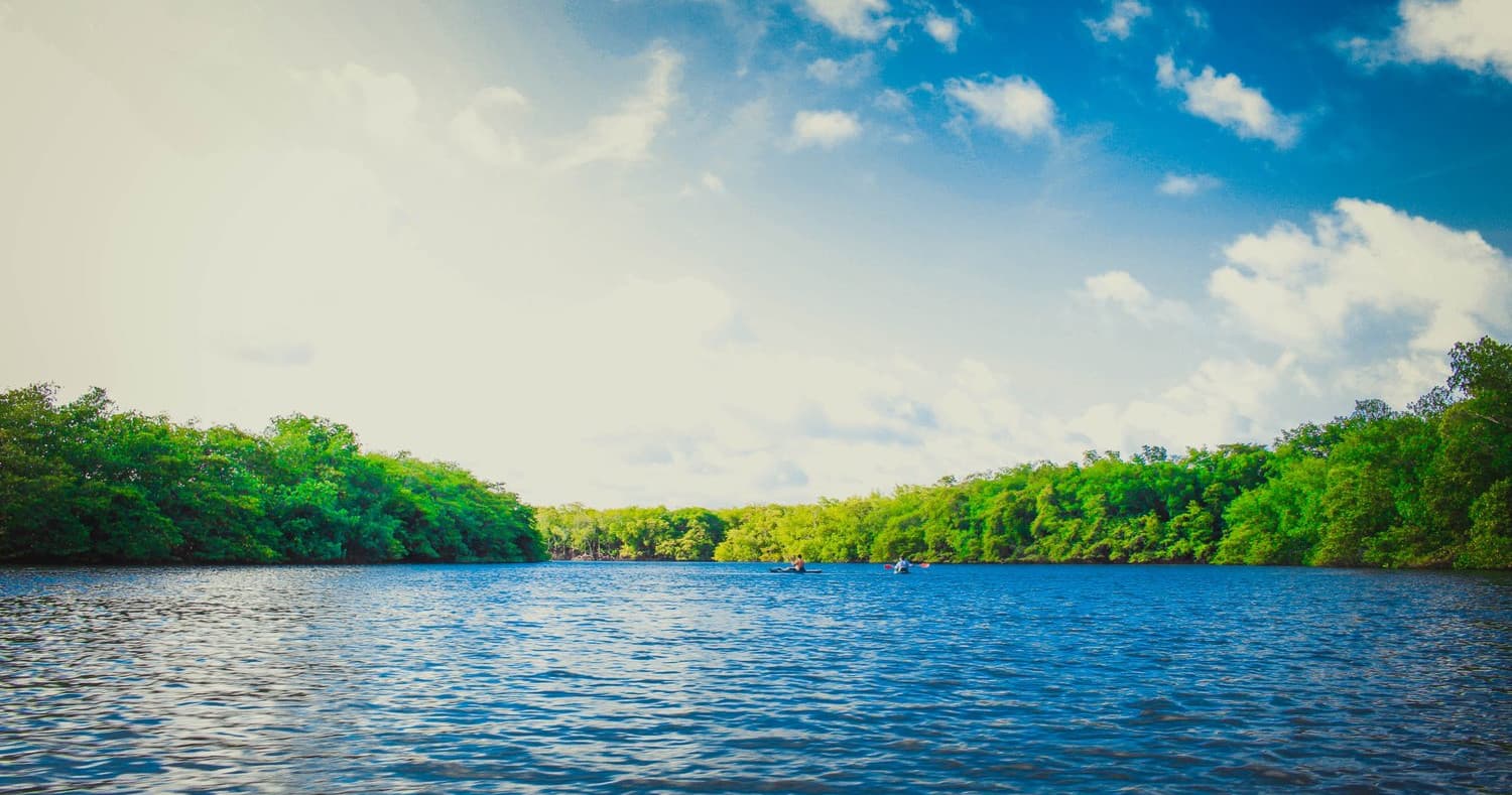 River Explorer Boat Tours fleet