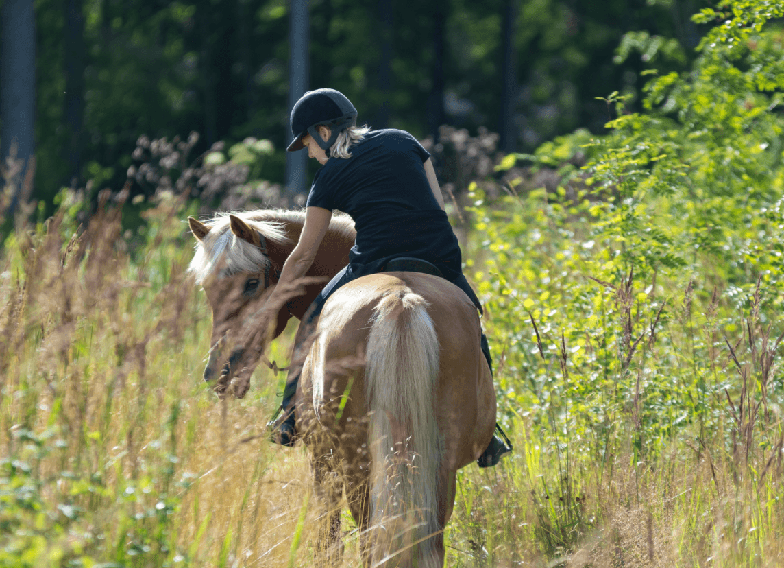Horseback Riding in Picos de Europa with El Portal de Picos