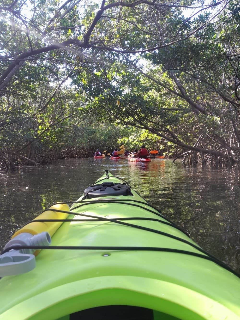 Water Activities at Oleta River Adventures: Kayaking in Florida