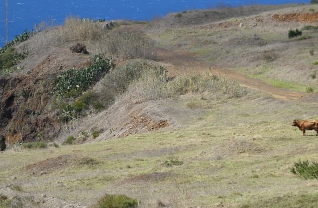 Madeira Island Adventure with Bravelanders' Southwest Tour