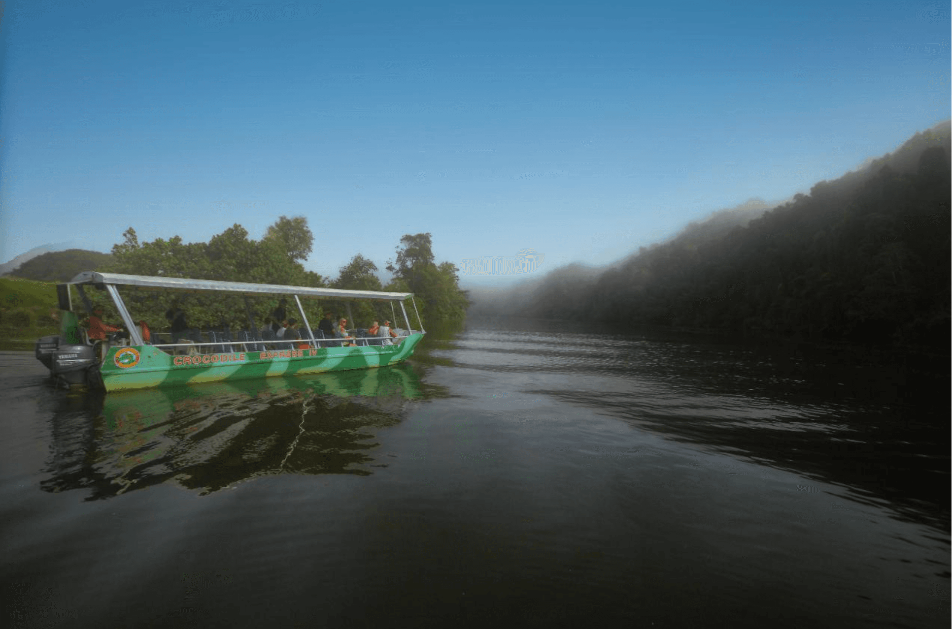Lower Daintree Rainforest & Wildlife Cruise — Mangrove Channels, Crocodiles & Thornton Peak Views photo 4