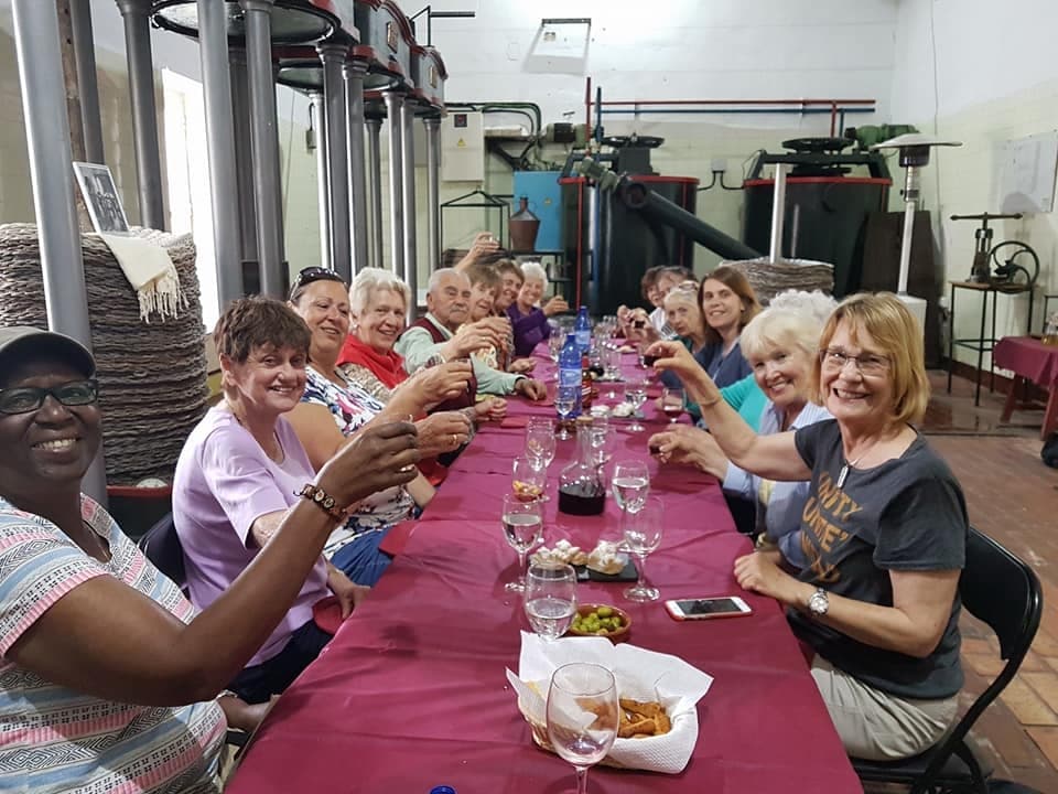 Discover Jaén’s Olive Secrets at Oleícola San Francisco — Mill Tour & Tasting