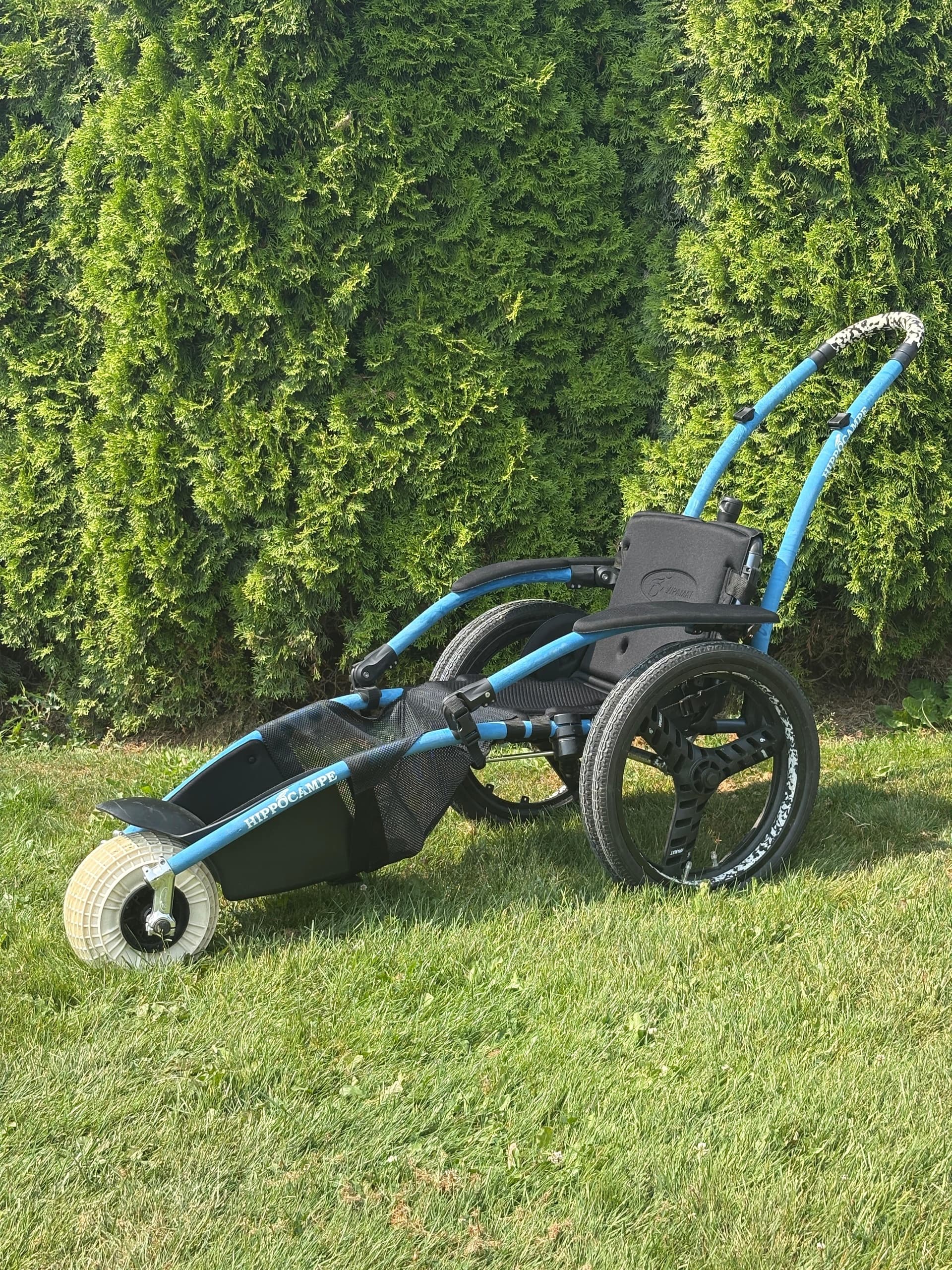 All-Terrain Adventure with RAD Recreation Adapted Society