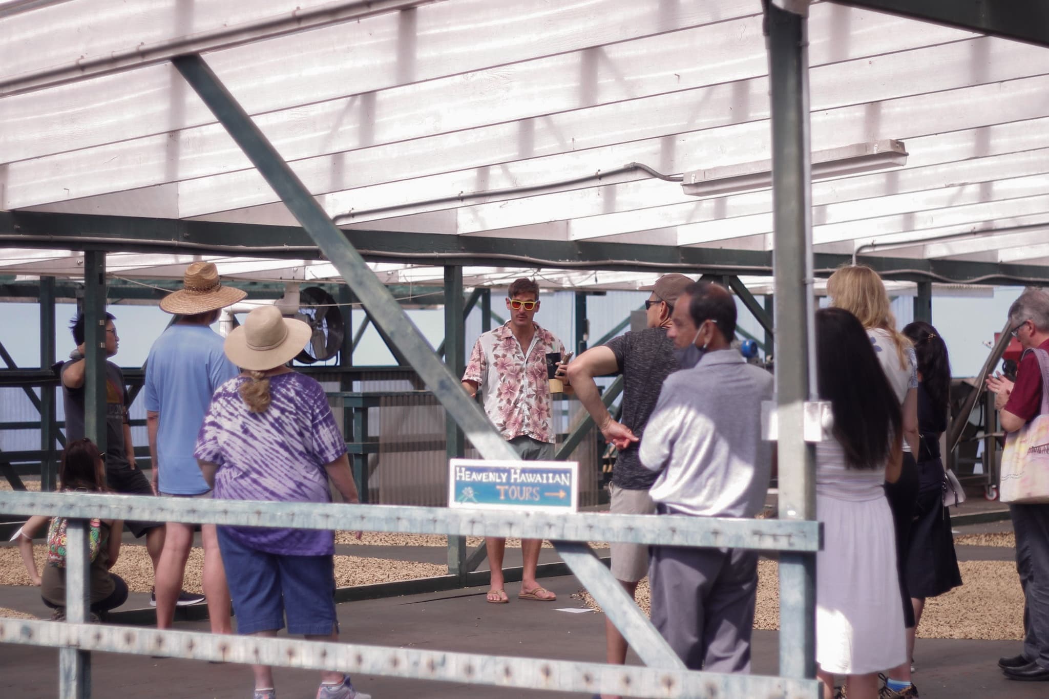 Kona Coffee Farm Tour by Heavenly Hawaiian Coffee Farm
