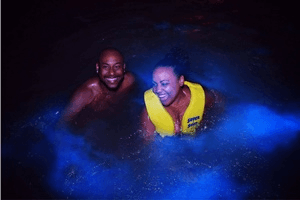 Big Deal Tours Jamaica fleet
