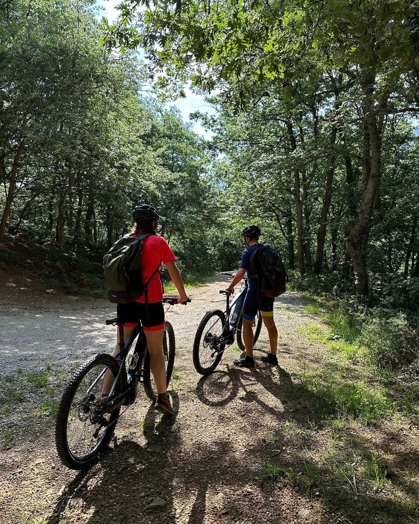 Mountain Biking in Picos de Europa with El Portal de Picos
