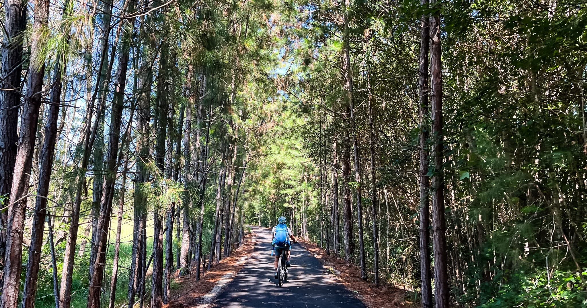 Explore the Northern Rivers Rail Trail with E-Bike Hire in Mooball, NSW photo 4