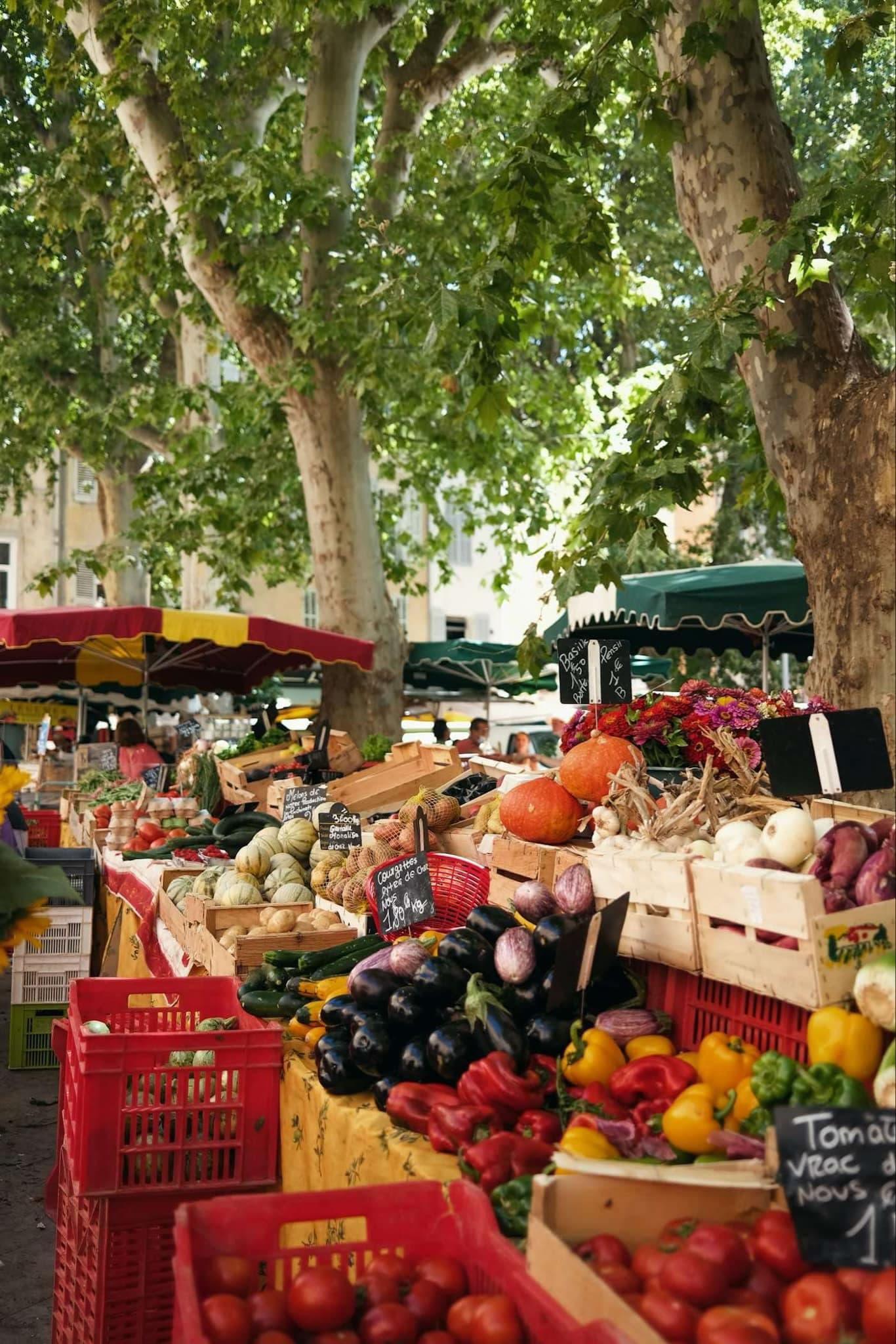 Local farmers market produce stalls under plane trees in town