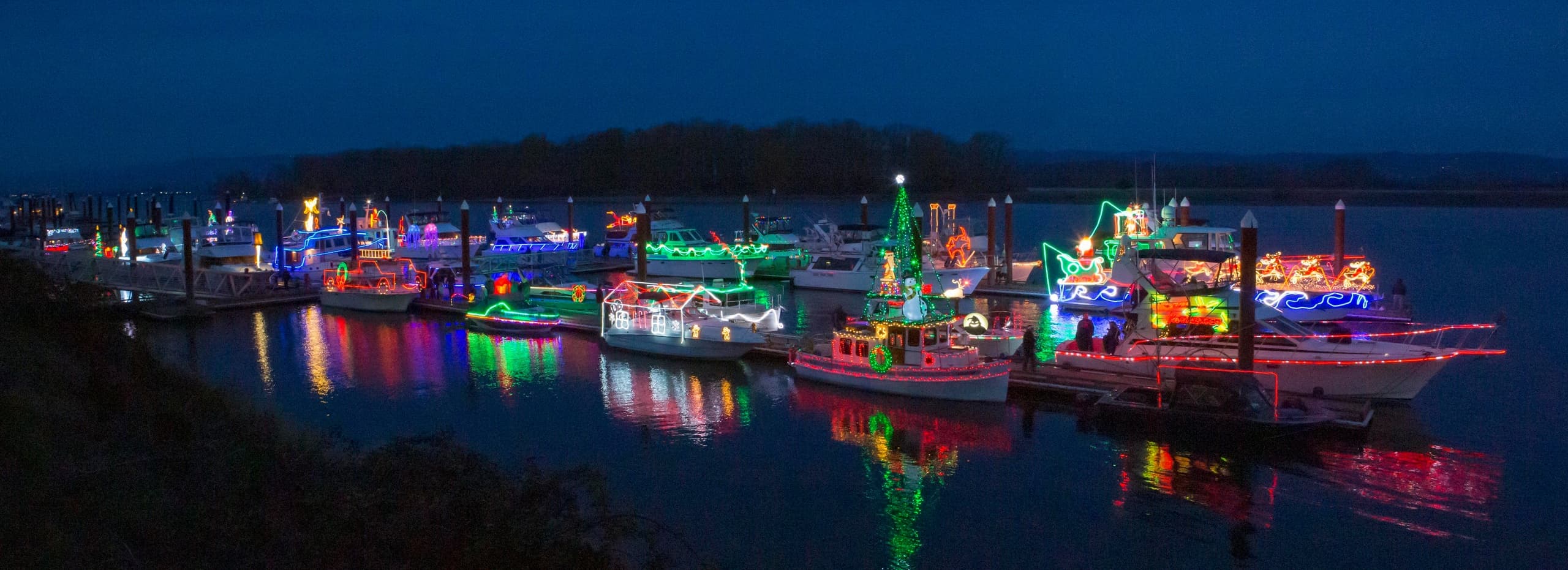Willamette River Wildlife Cruise to Willamette Falls — Christmas Ships Public Tour photo 2