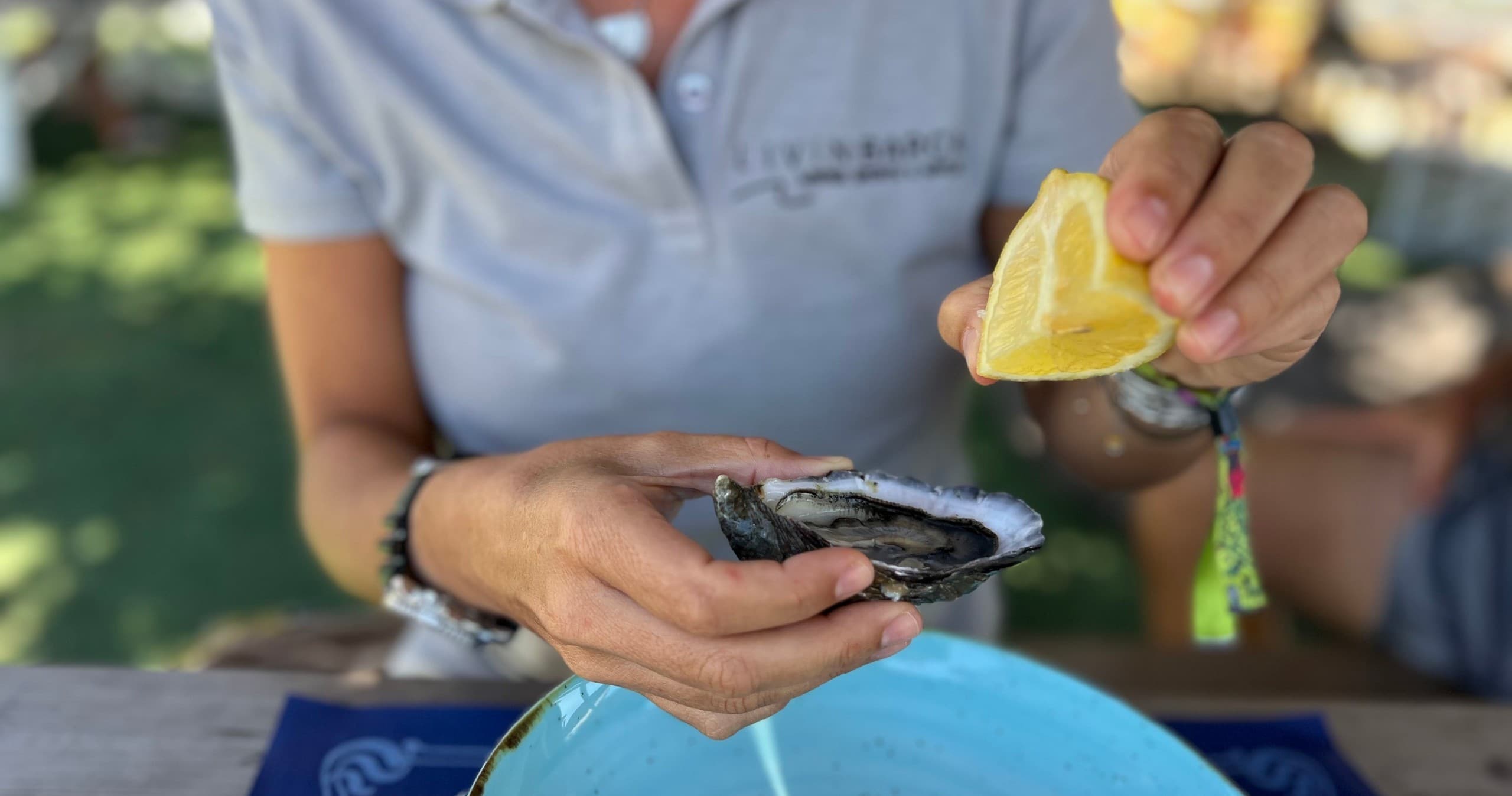 Boat Tour & Oyster Tasting at Livin Barca, Ria de Aveiro