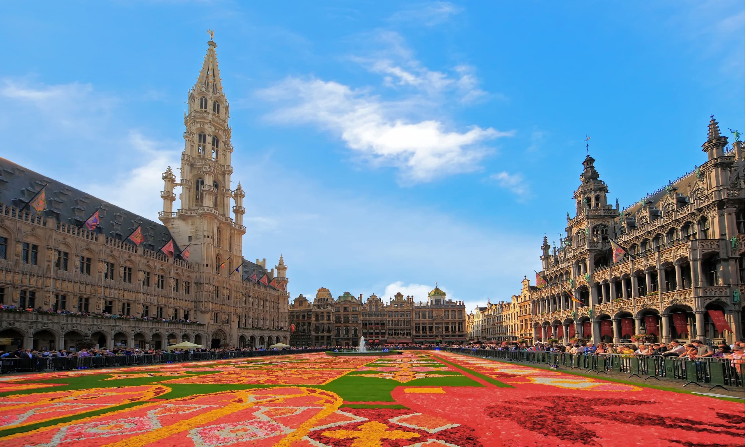 City square floral carpet display with historic guildhalls and sky