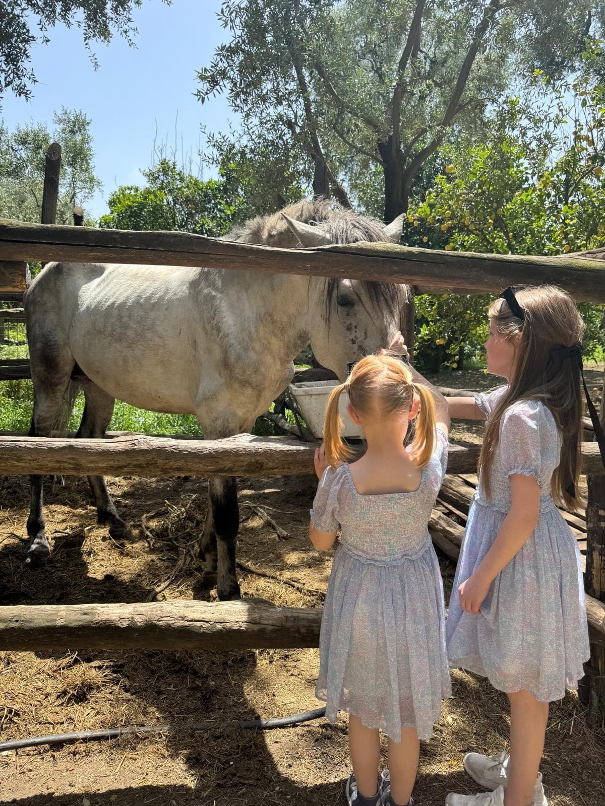 Farm Animal Encounters at Tenuta Il Pizzo in Sant'Agnello