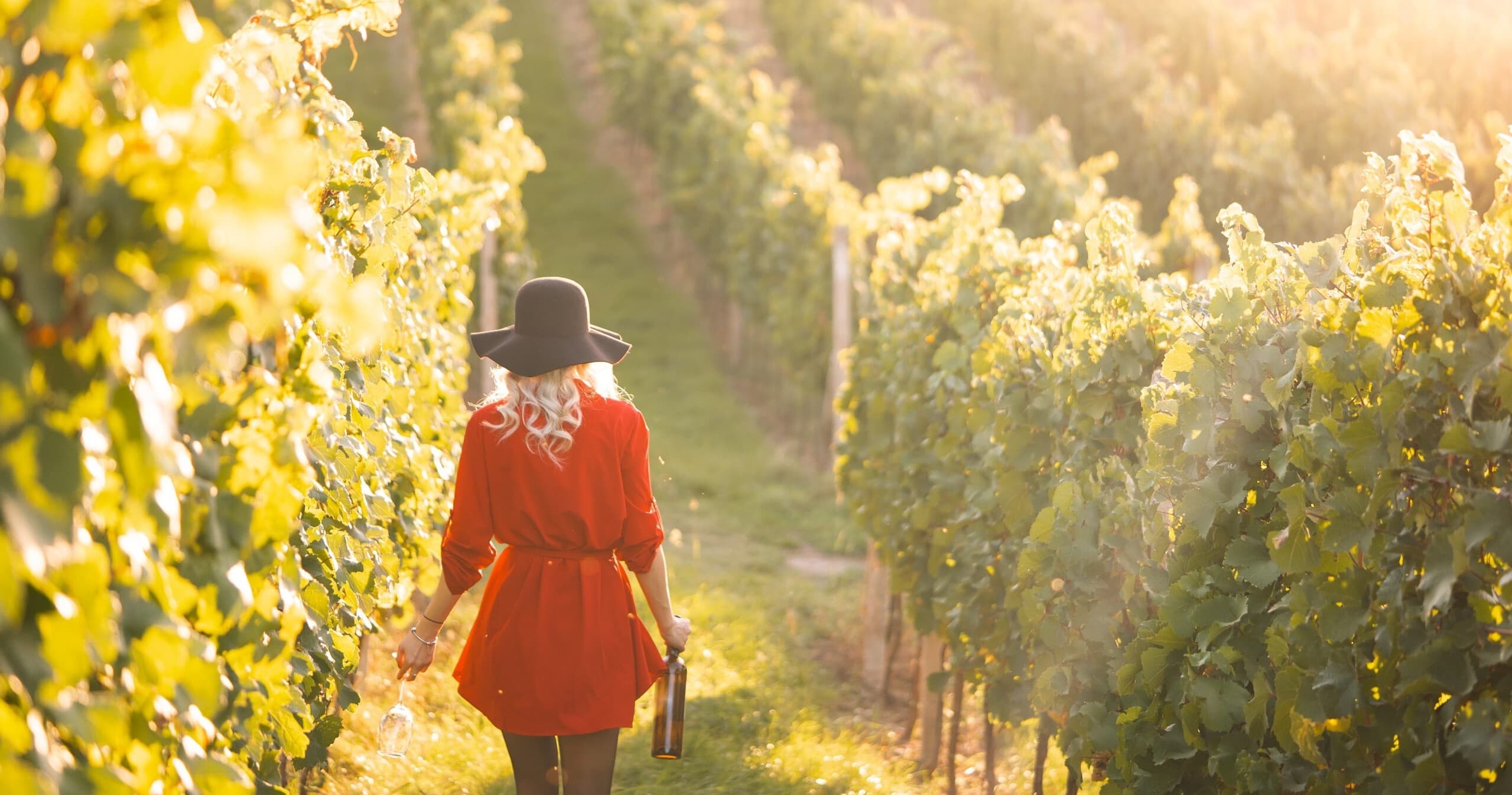 Land Adventures in Euganean Hills with Wine Tour by The Adventure Collective
