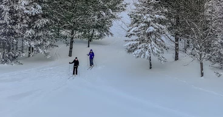 Half-Day Cross-Country at Badger Pass: Ski to Glacier Point in Yosemite
