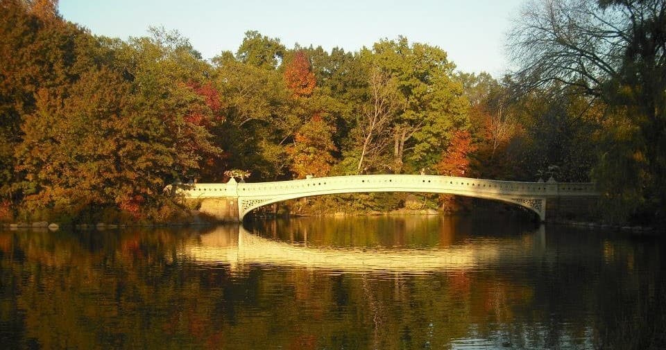 Central Park Tour by Manhattan Walking Tour in NYC