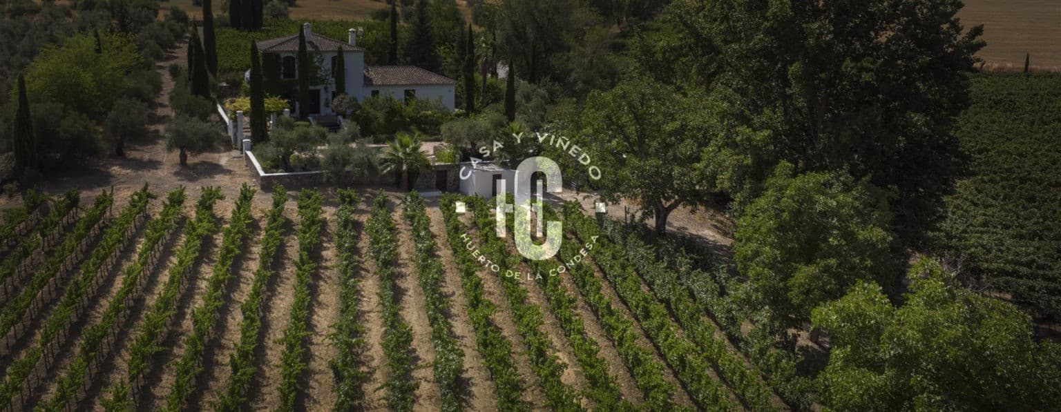 Ronda Privada Plus: Tajo Gorge & Wine Culture Day Trip from Málaga