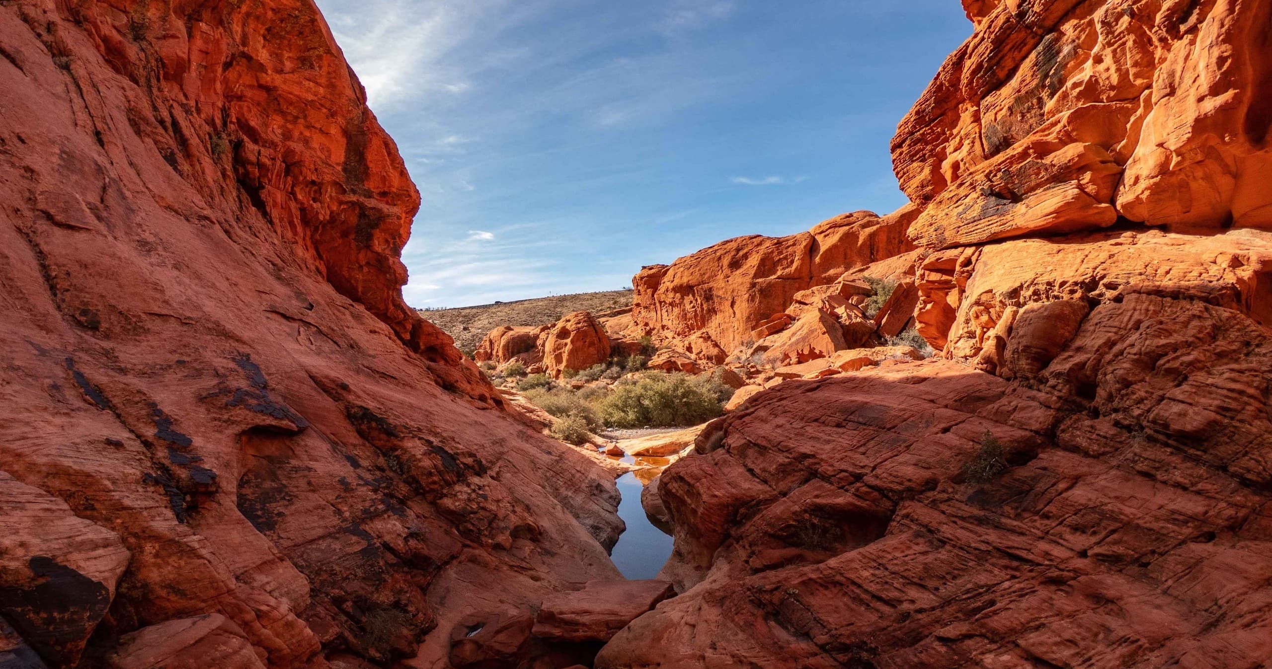 Red Rock Scenic Loop Tour in Las Vegas, Nevada