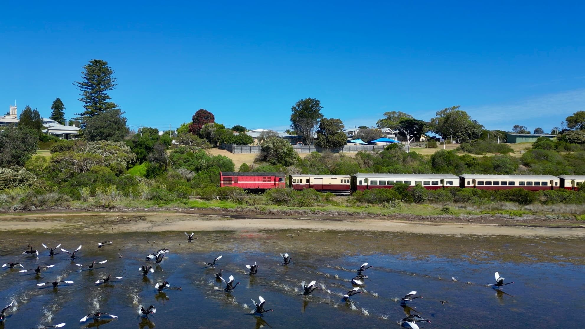 Seaside Explorer: Heritage Train from Drysdale to Queenscliff