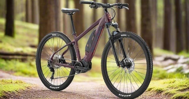 Exploring Port Gamble Forest Trails on the Kona El Kahuna Electric Bike