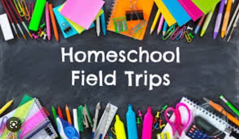 Homeschool Field Trips at Devine's Corn Maze and Pumpkin Patch
