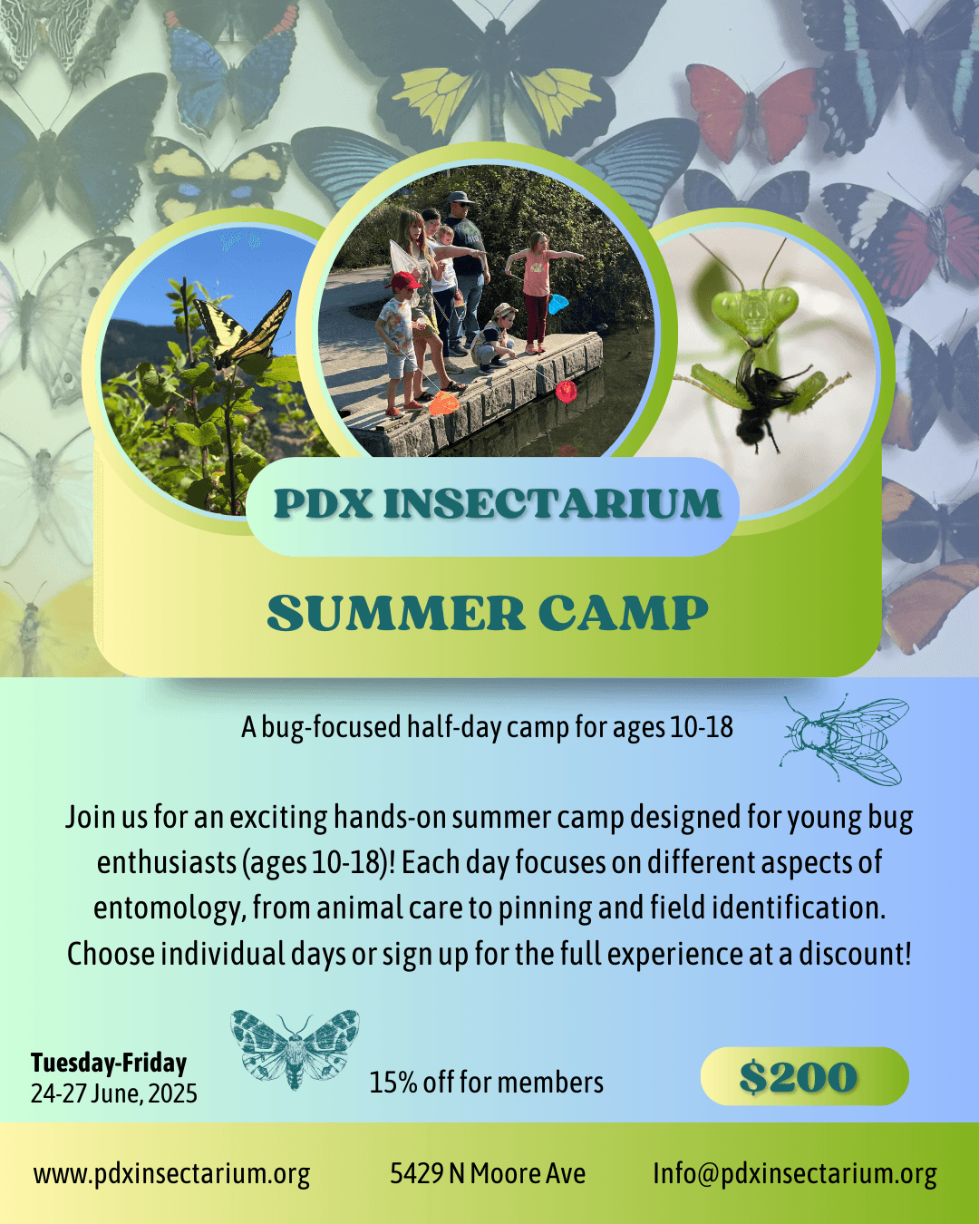 Summer Camp Full Series: Bug Adventures in Portland