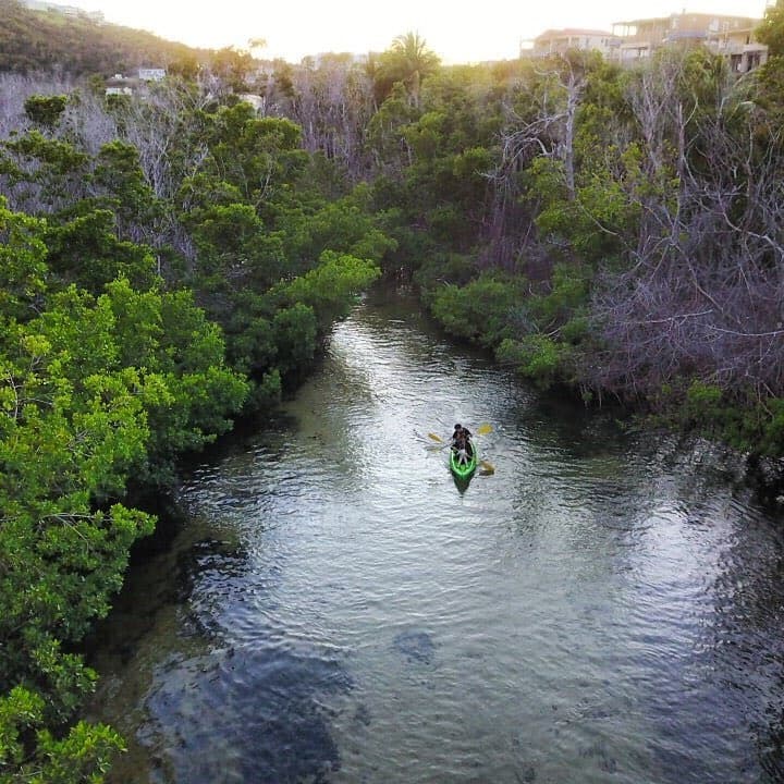 Solo kayaker paddling through narrow mangrove creek at dusk