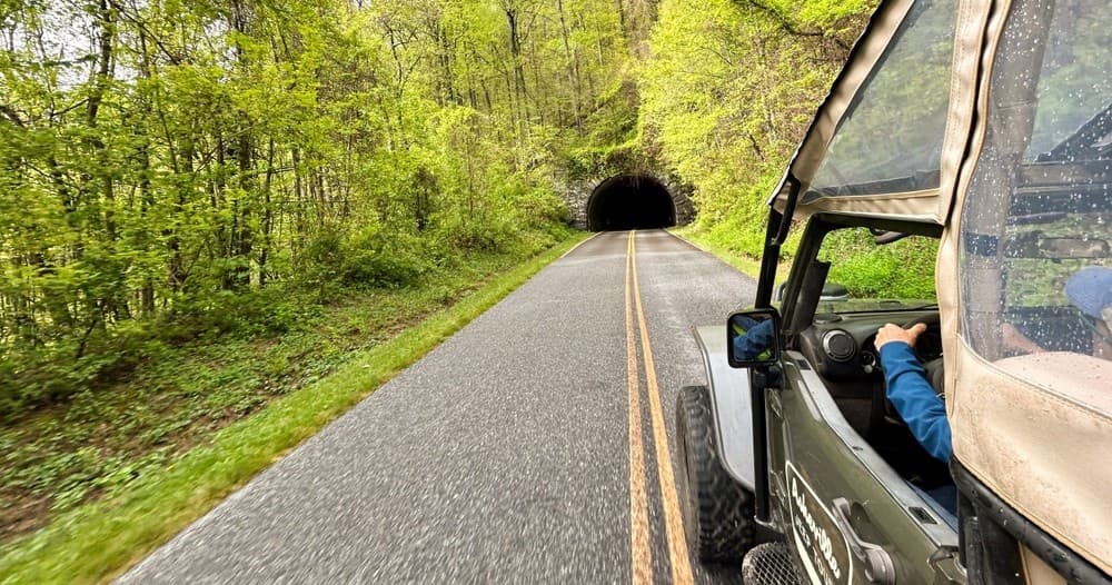 Jeep driving toward forest tunnel on scenic mountain road