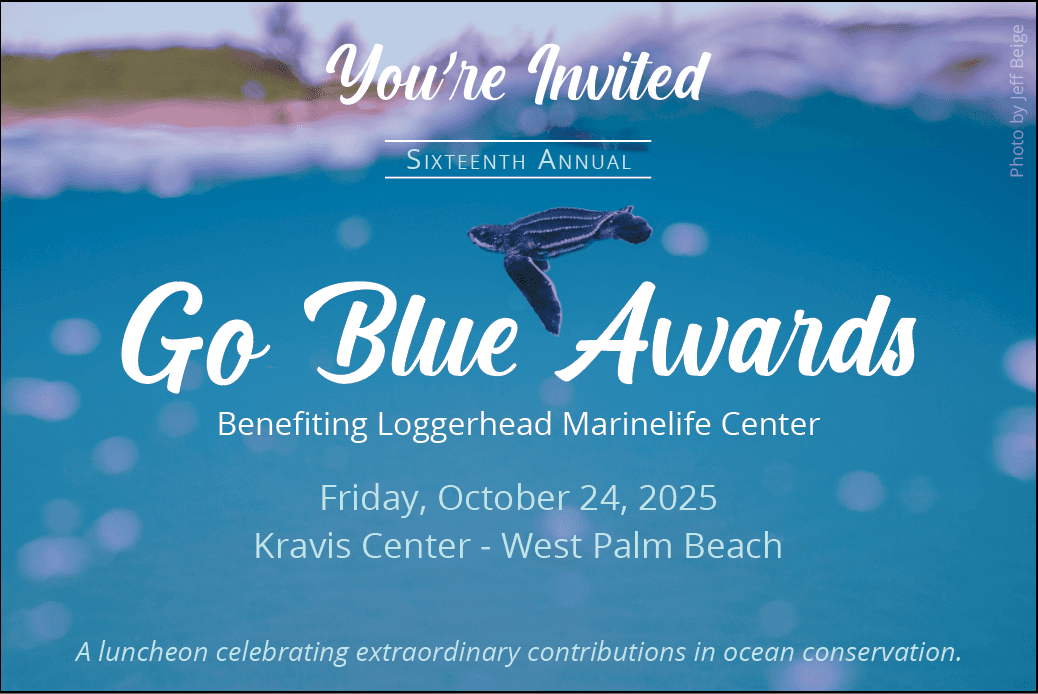 Water-Activities & Loggerhead Marinelife Center: Ocean Conservation Celebration