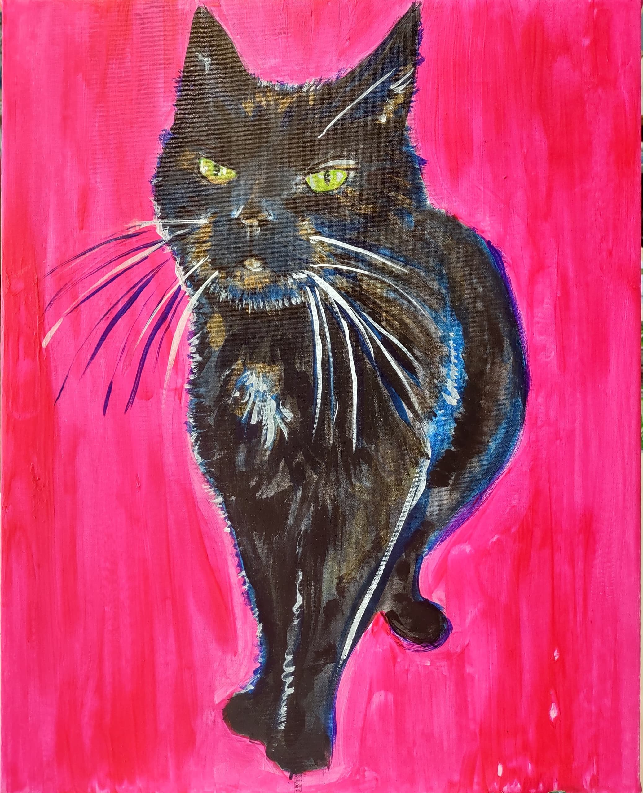 Creative Pet Portraits with Corky Canvas in Omaha