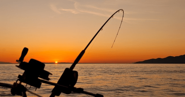 Rod and reel silhouette over Gulf waters at sunset, PCB charter