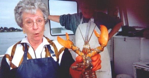 Lucky Catch Cruises Waitlist: Maine Lobstering Access