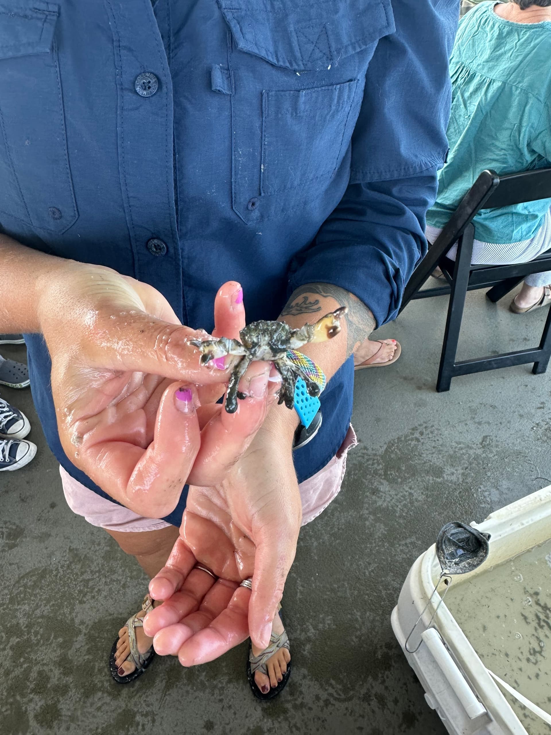 Junior Naturalist Cruise on the Lewes–Rehoboth Canal: Hands-On Wildlife Tours for Kids