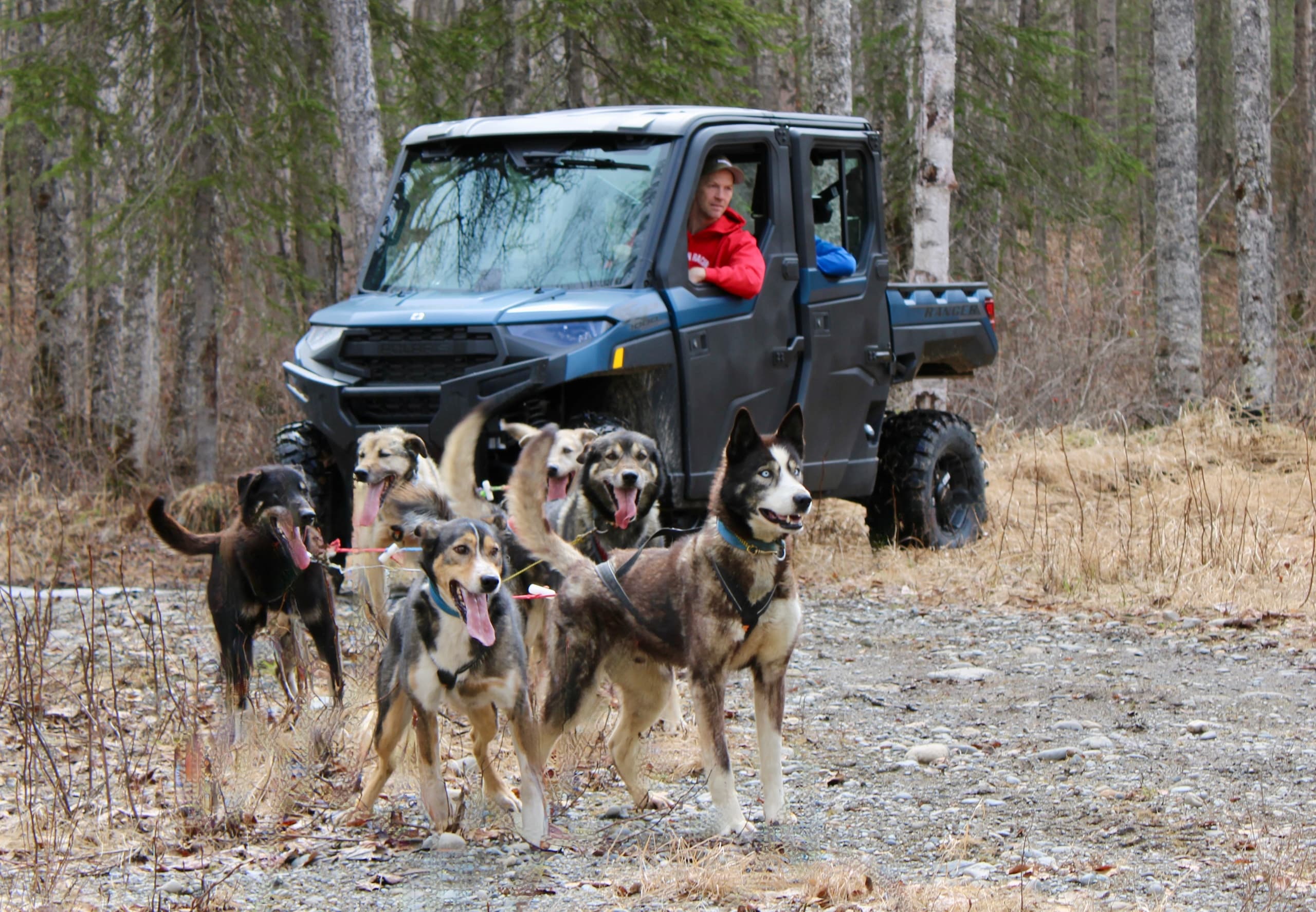Rock On Racing Sled Dog Tours fleet