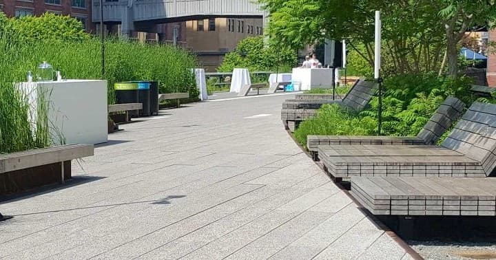 Secrets of the High Line: Exploring New York City's Elevated Urban Park