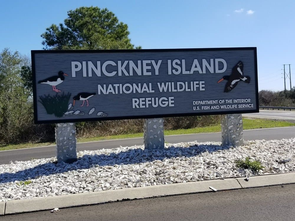 What's Wild Family Hike on Pinckney Island: Easy 2-Mile Lowcountry Nature Walk