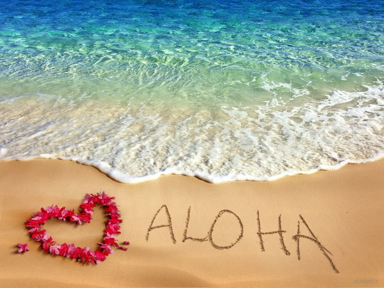 Aloha Grand Island Tour: Explore Honolulu's Scenic Adventure
