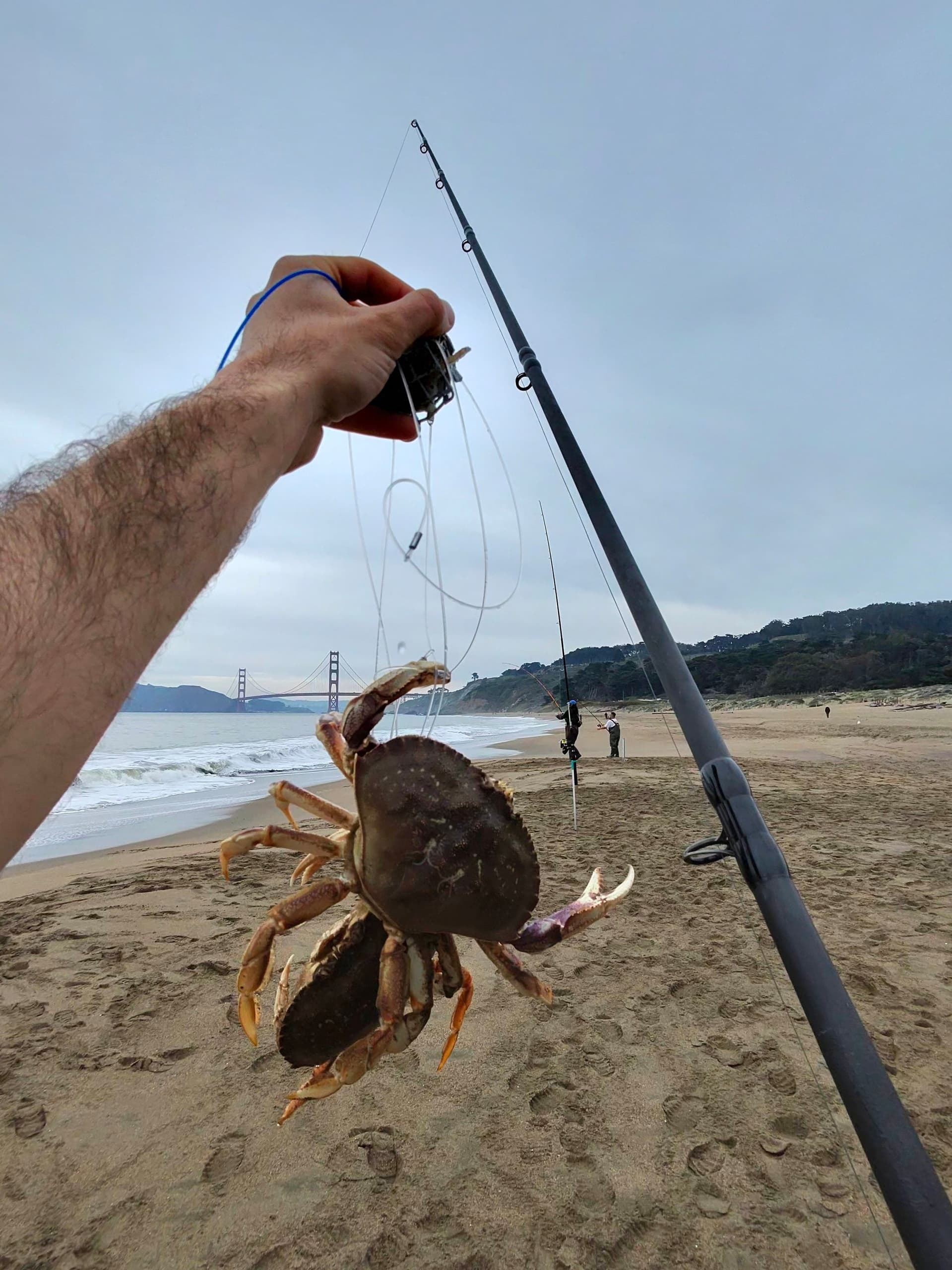 crabbing with fishing pole Bay Area Guided Crab Snaring and Poke Pulling Combo Trip Reliable crabbing and fishing gear