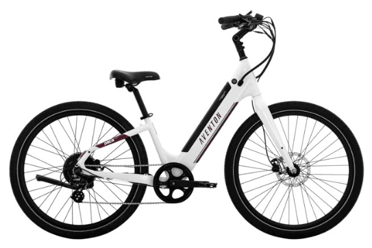 E-Bike Rental Adventure in Union Pier, Michigan