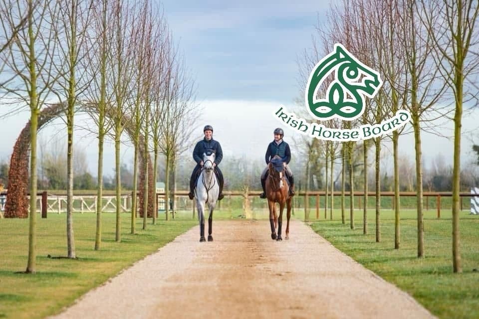Equine & Culinary Adventure with Good Food Ireland