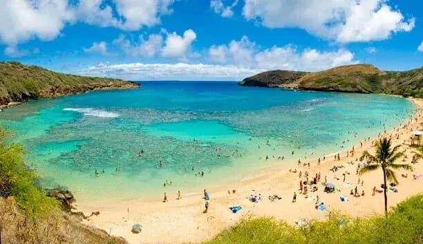 Hanauma Bay Experience Package: Skip-the-Line Access to Oahu Marine Playground photo 4