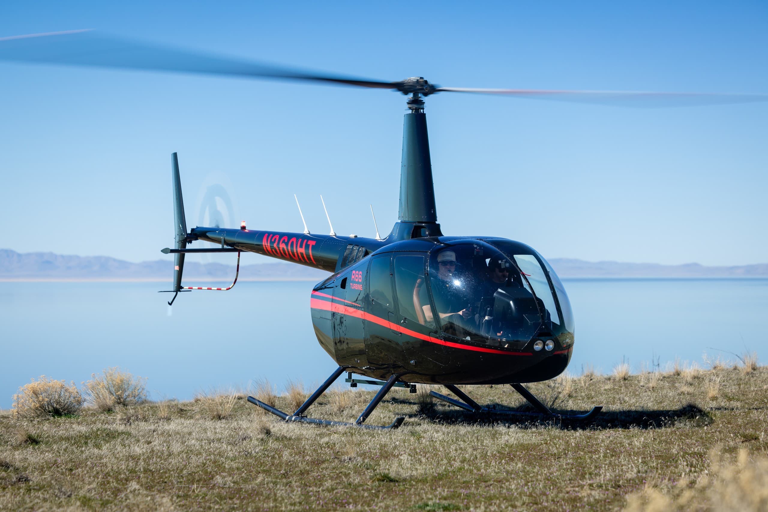 Antelope Island Tour — Great Salt Lake Helicopter Views & Island Wildlife photo 2