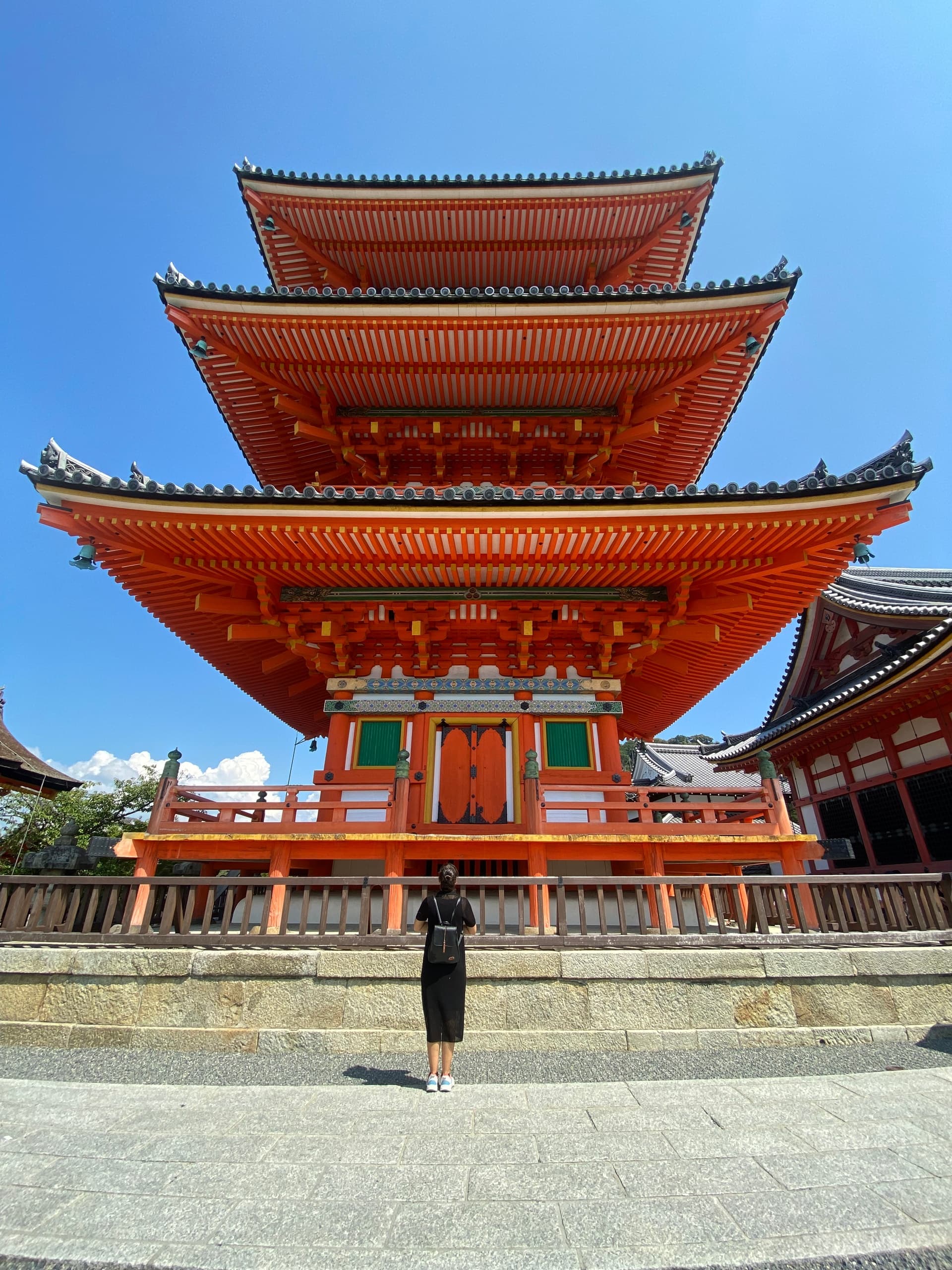 Day Tour from Osaka with Amigo Tours Japan: Nara, Kyoto & Fushimi Inari